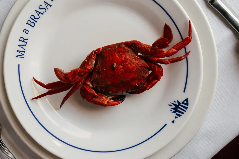Marisco servido en Mar a Brasa